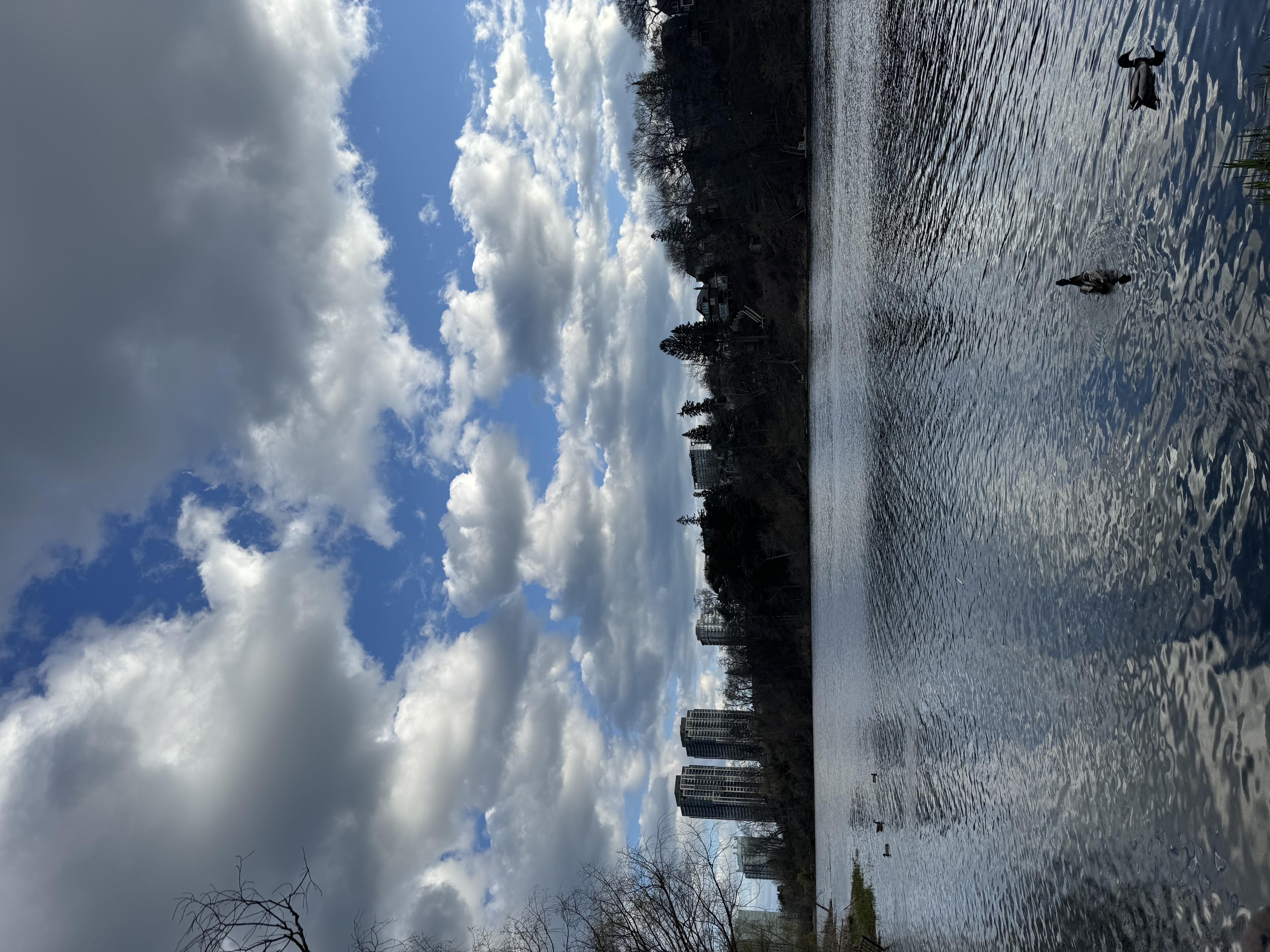Travel photo 1